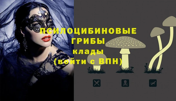 хмурый Михайлов
