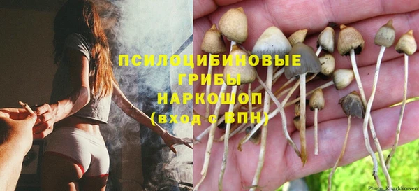 бошки Михайловка