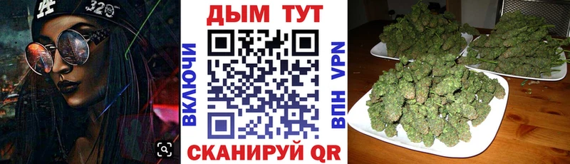 Купить закладки  Новозыбков  Бошки марихуана марихуана 